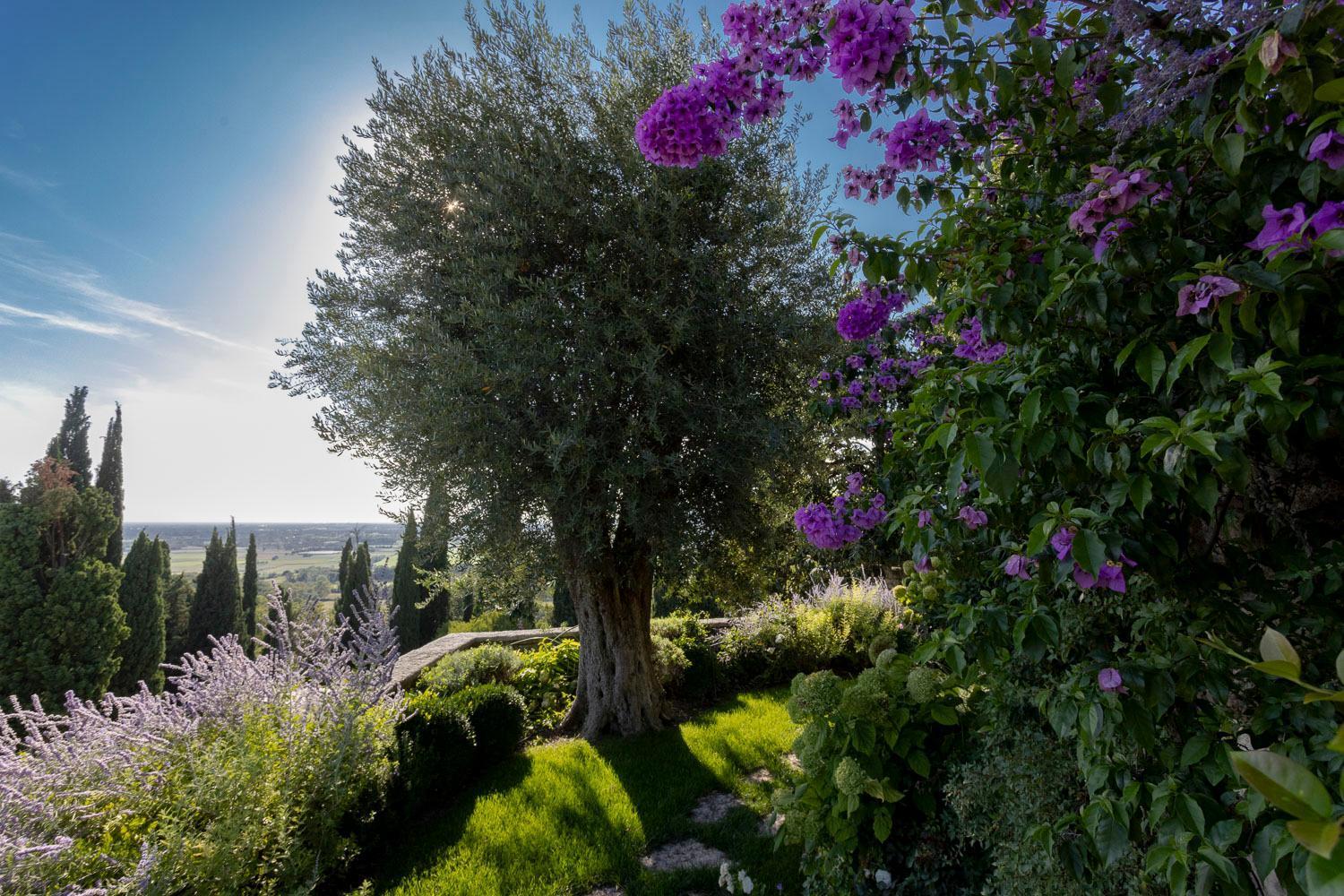 Eremus Relais Apart otel Lonato Dış mekan fotoğraf